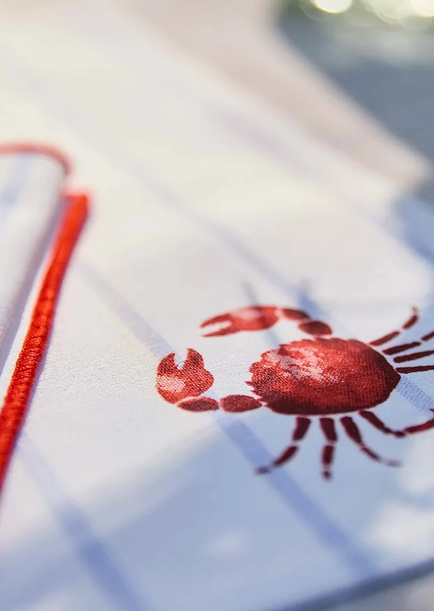 Wohnen & Garten - Tischset aus Bio Baumwolle (2er Pack) - puderblau/grenadine/weiß