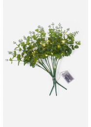 LED-Kunstpflanze Eukalyptus Zweige (3er Pack), bpc living bonprix collection