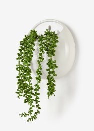 Plante artificielle à suspendre dans un pot en céramique, bpc living bonprix collection