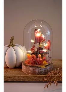 Objet déco LED avec champignons, bonprix Objet déco LED avec champignons, bonprix