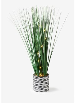 Plante artificielle LED dans pot en céramique, bpc living bonprix collection