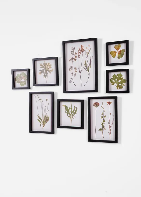 Bilder (8-tlg. Set), bonprix
