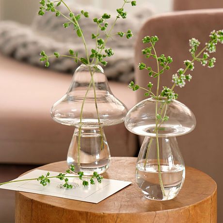 Maison & Jardin - Décoration - Automne