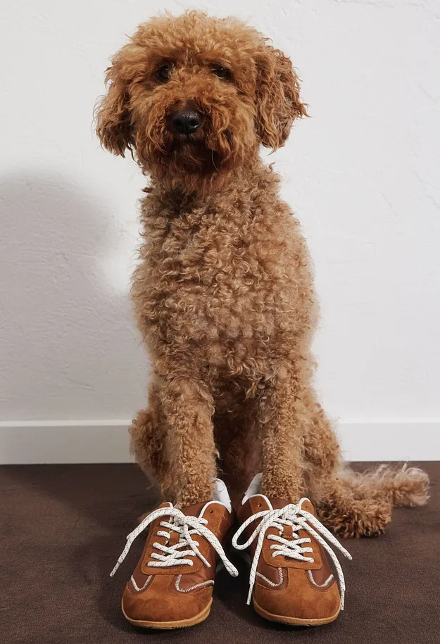 Femme - Sneakers au look r&eacute;tro - toffee