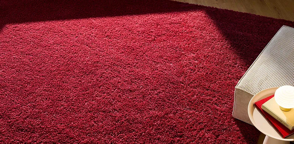 Un tapis rouge éclatant domine la pièce, des livres sont posés sur un support clair. 