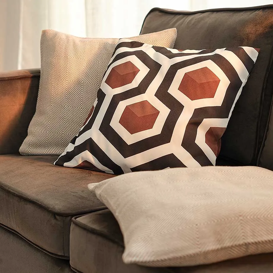 Coussins de canap&eacute; au design moderne.