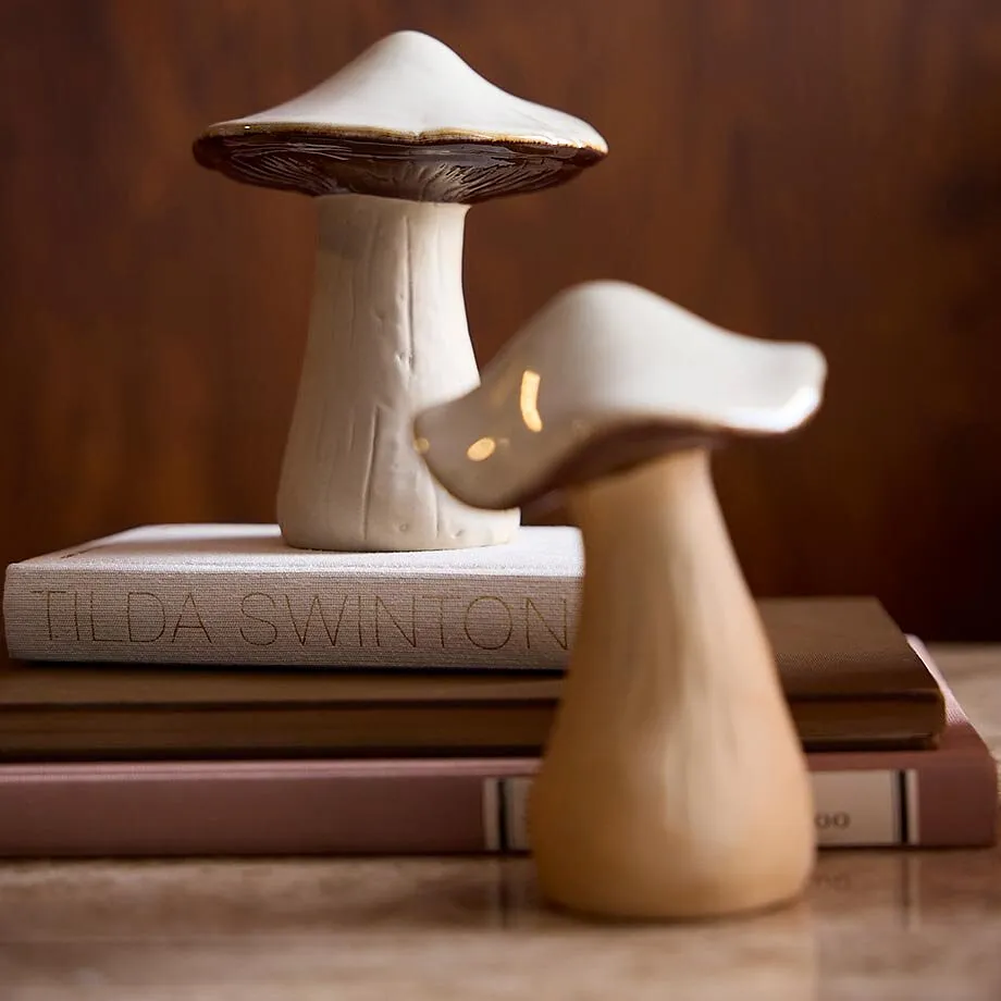 Un champignon d&eacute;co sur une pile de livres.