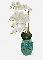 Plante artificielle orchidée, bonprix