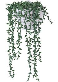 Plante artificielle en pot, bpc living bonprix collection