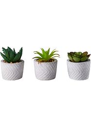 Lot de 3 plantes artificielles succulentes en pot, bpc living bonprix collection