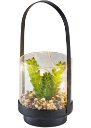 LED-Kunstpflanze im Glas, bpc living bonprix collection