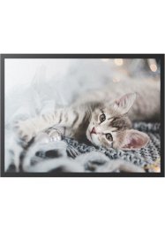 Fußmatte mit niedlichem Katzen Motiv, bpc living bonprix collection
