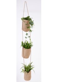 Pflanzhalter für 3 Pflanzen, bpc living bonprix collection