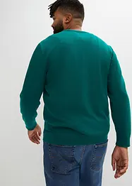 Feinstrickpullover in Regular Fit, bonprix