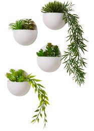 Kunstpflanze Sukkulenten zum Hängen (4-tlg.Set), bpc living bonprix collection