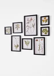 Bilder (8-tlg. Set), bonprix