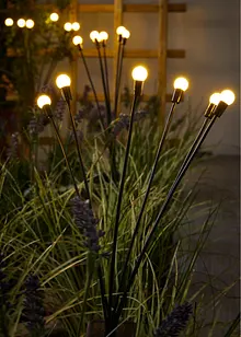 Solar Gartenstecker, bonprix