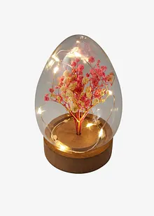 Objet déco LED Œuf avec fleurs séchées, bonprix