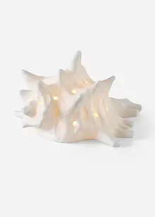 LED-Deko-Objekt Muschel, bonprix