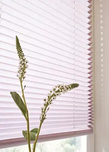 abdunkelndes Klebe-Plissee, bonprix