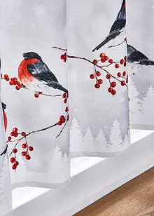 Scheibengardine mit Wintervögeln, bonprix