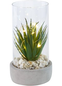 Plante artificielle LED, bpc living bonprix collection