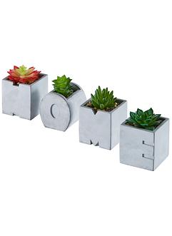 Succulentes artificielles Home en pot (Ens. 4 pces.), bpc living bonprix collection
