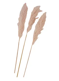 Lot de 3 plantes artificielles (herbes de la pampa), bonprix