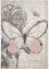 Tapis à grand papillon, bpc living bonprix collection