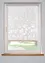 Ausbrenner Rollo mit Blumen-Motiv, bpc living bonprix collection