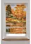 Sichtschutzrollo mit Wald-Motiv, bpc living bonprix collection