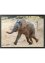 Tapis de protection avec un adorable éléphant, bpc living bonprix collection