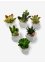 Kunstpflanzen in Sukkulenten-Design (6-tlg.Set), bpc living bonprix collection