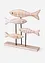 Figurine déco poissons, bonprix