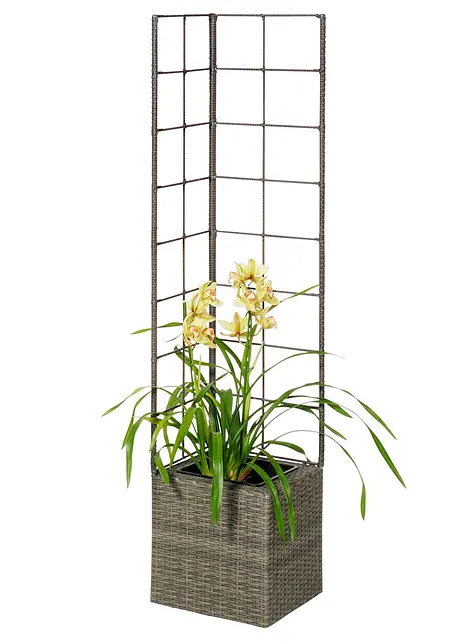 Pflanzkübel mit Rankhilfe, bpc living bonprix collection
