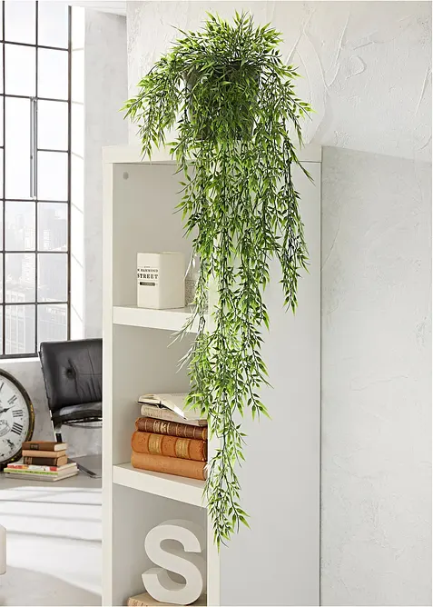 Bambou d&eacute;coratif, bonprix