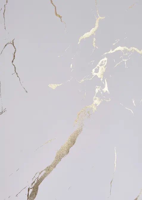 Sichtschutzrollo mit Glanzdruck, bonprix