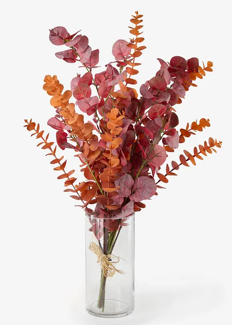 Vase mit Eukalyptus-Zweigen, bonprix