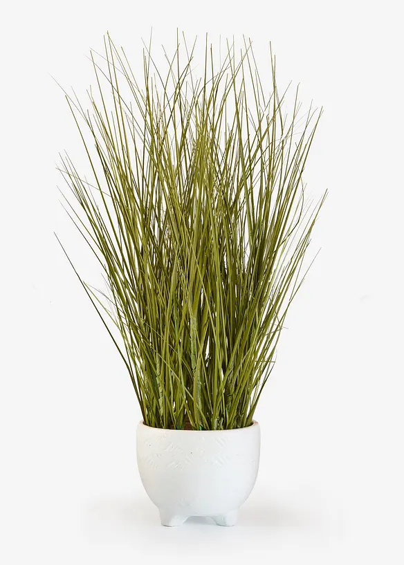 Kunstpflanze im Topf, bonprix