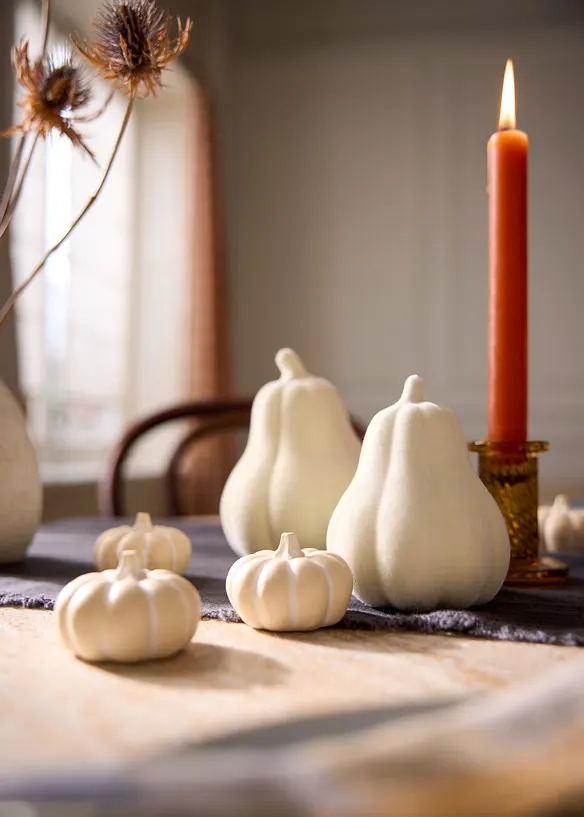 Objet d&eacute;co lot de 6 mini citrouilles, bonprix