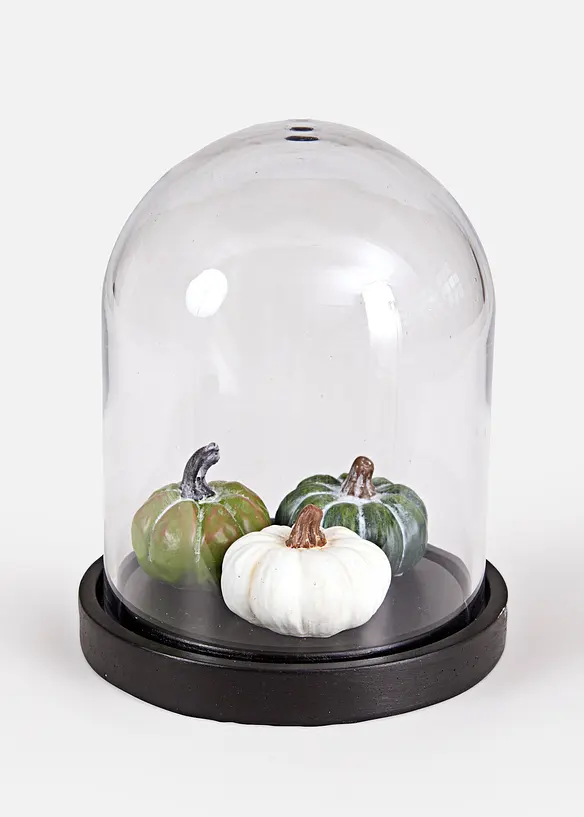 Deko-Objekt K&uuml;rbisse mit Glaskuppel, bonprix