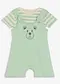 gris vert