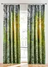 Abdunkelnder Vorhang mit Wald Motiv (1er Pack), bonprix