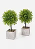 Lot de 2 plantes artificielles en pot, bonprix