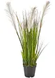 Plante artificielle, bpc living bonprix collection