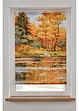 Sichtschutzrollo mit Wald-Motiv, bpc living bonprix collection