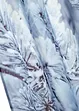 Vorhang mit recyceltem Polyester mit Wintermotiv (1er Pack), bonprix