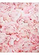 Teppich mit Rosen, bpc living bonprix collection