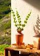 Plateau rond, bonprix